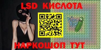 индика Заводоуковск