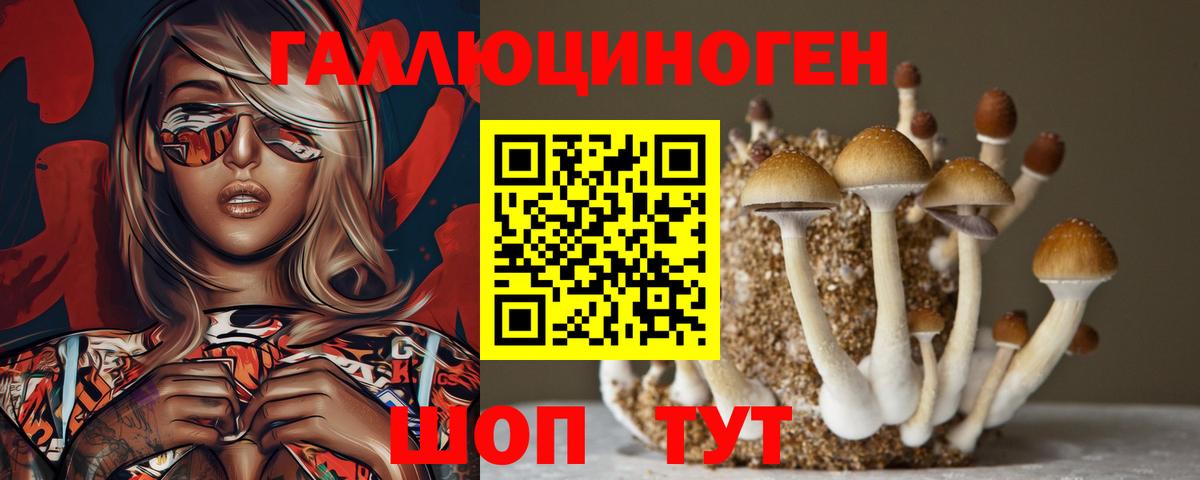 Псилоцибиновые грибы мицелий Валуйки