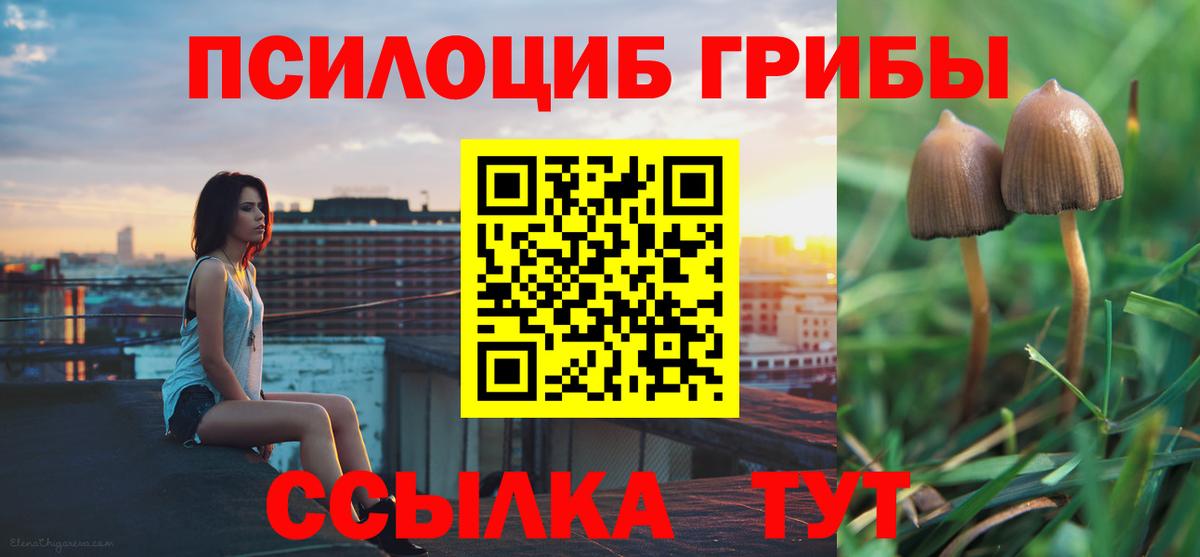 Галлюциногенные грибы прущие грибы  Вход с VPN  Валуйки 